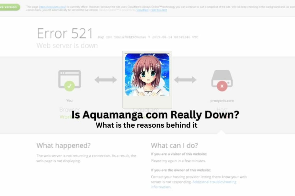 What To Do When Aquamanga.Com Is Down