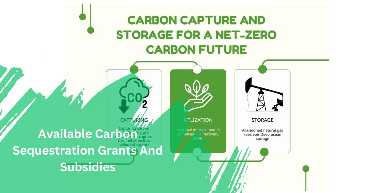 Available Carbon Sequestration Grants And Subsidies